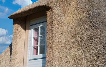 Warse thatch roof disadvantages