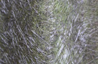 Warse fibreglass roof work